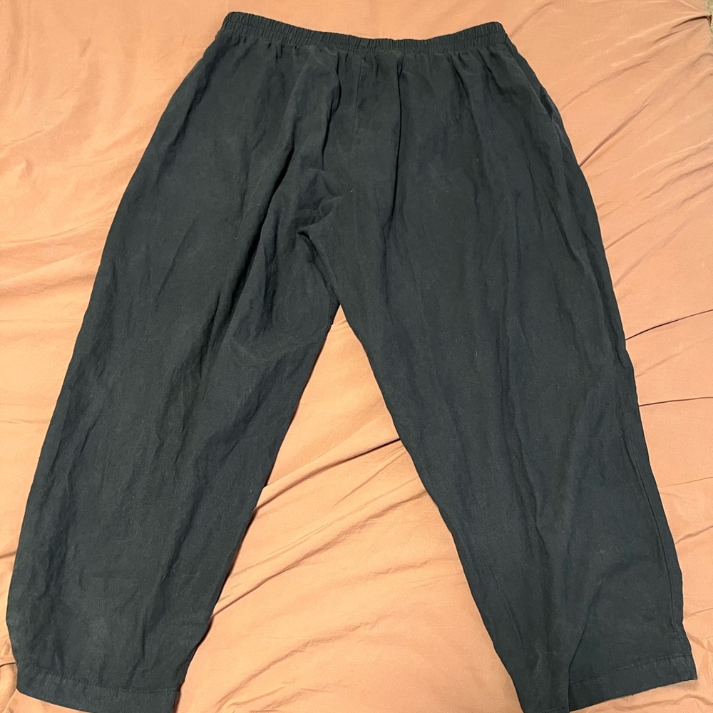 Aliya Wanek Kendric pants 2X cotton / linen